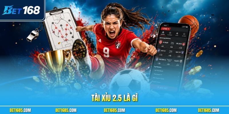 Tài Xỉu 2.5 Là Gì? Hướng Dẫn Cách Đọc Kèo 2 Trái Rưỡi Chuẩn